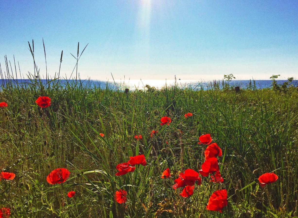 Strandresort Prora - Wg 114 Mit Meerblick Binz Exteriör bild